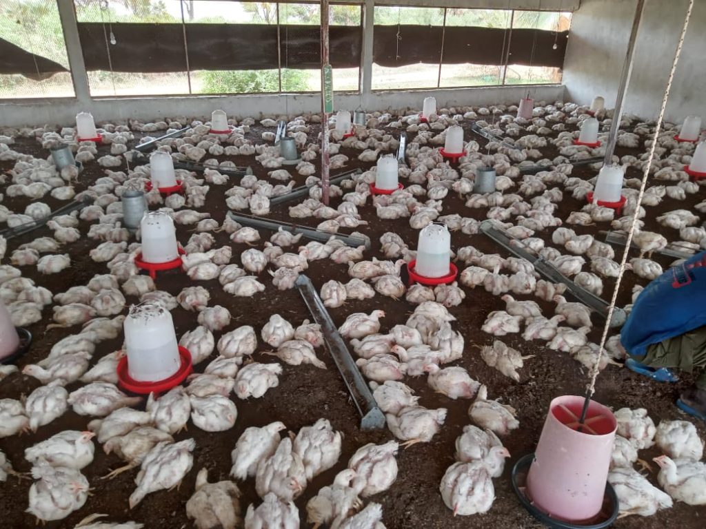 WhatsApp Image 2026-04-02 at 17.58.29 (1)