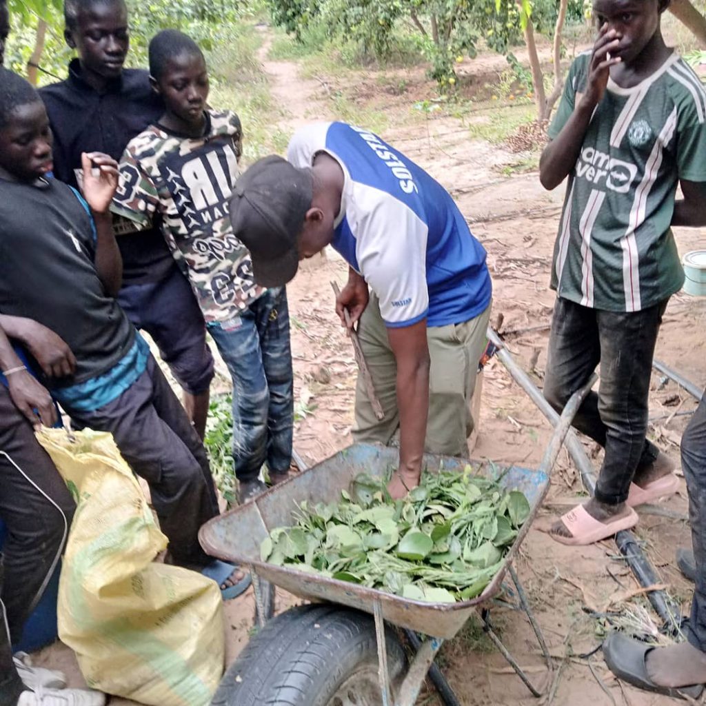 WhatsApp Image 2026-04-08 at 12.47.48 (2)