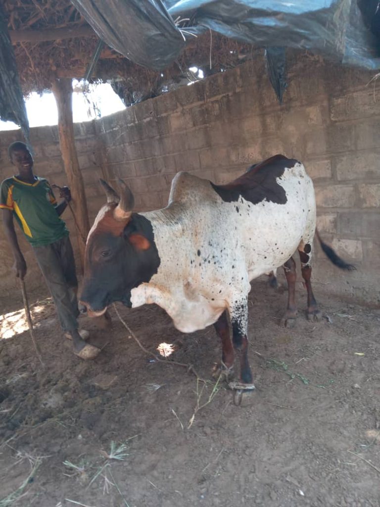 WhatsApp Image 2026-04-08 at 12.47.48 (3)