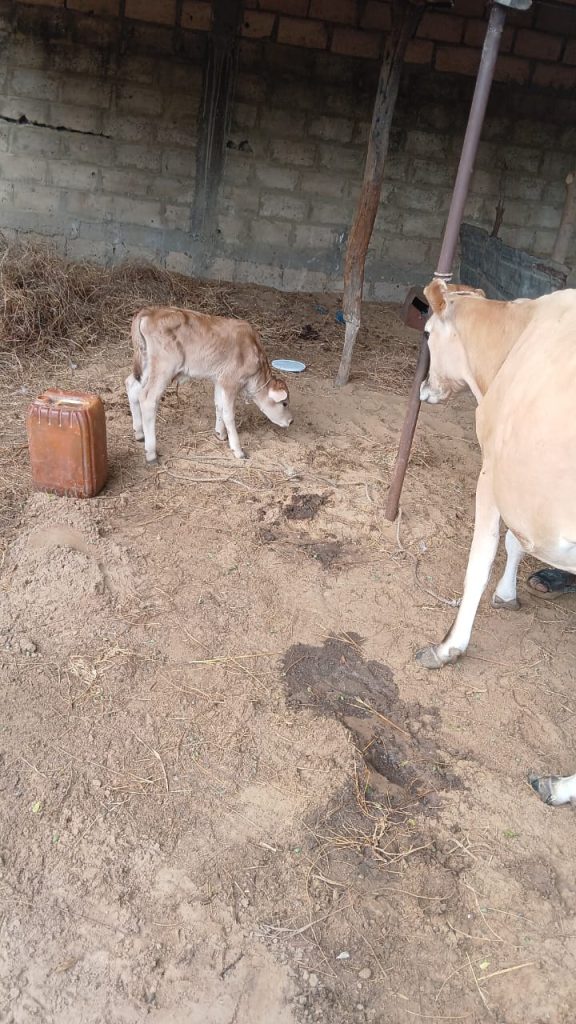 WhatsApp Image 2026-04-08 at 12.47.49 (1)