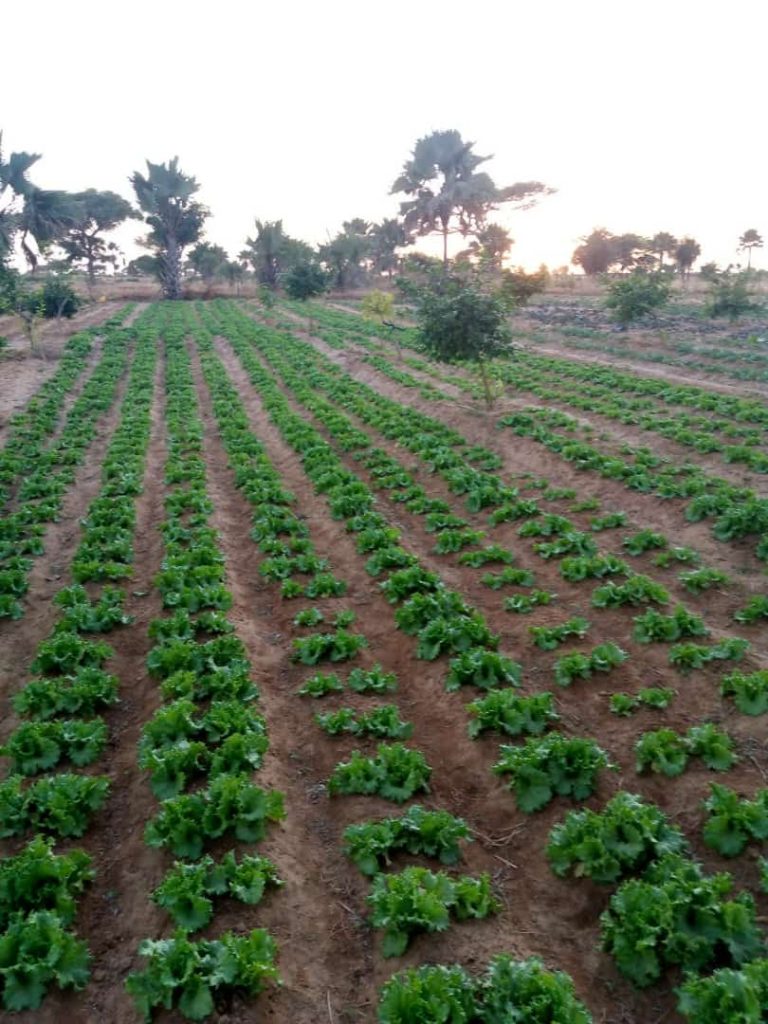 WhatsApp Image 2026-04-08 at 14.33.55